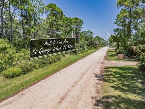 Tiny photo for 865 E Pine Avenue, St George Islan, FL 32328 (MLS # 398073)