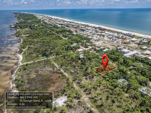 Tiny photo for 865 E Pine Avenue, St George Islan, FL 32328 (MLS # 398073)