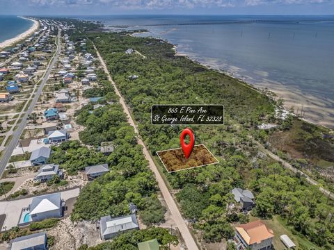 Tiny photo for 865 E Pine Avenue, St George Islan, FL 32328 (MLS # 398073)