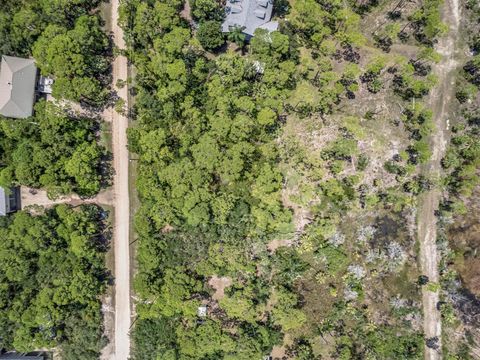 Tiny photo for 865 E Pine Avenue, St George Islan, FL 32328 (MLS # 398073)