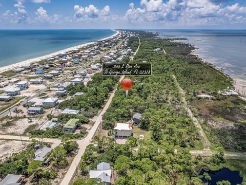 Tiny photo for 865 E Pine Avenue, St George Islan, FL 32328 (MLS # 398073)