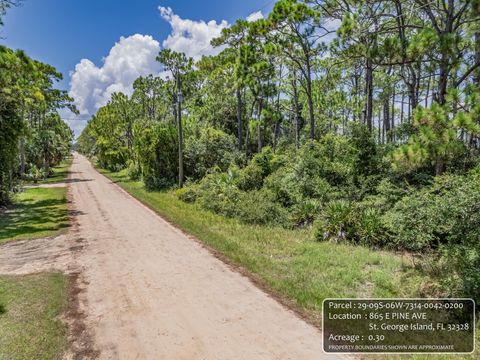 Tiny photo for 865 E Pine Avenue, St George Islan, FL 32328 (MLS # 398073)