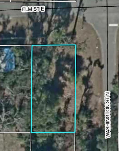 Tiny photo for Lot 1 N Washington Street, Perry, FL 32347 (MLS # 401657)