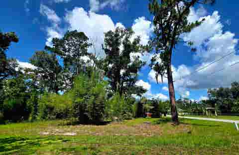 Photo of Lot 1 N Washington Street, Perry, FL 32347 (MLS # 401657)