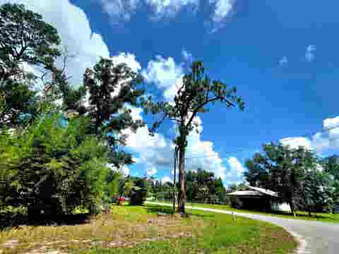 Tiny photo for Lot 1 N Washington Street, Perry, FL 32347 (MLS # 401657)