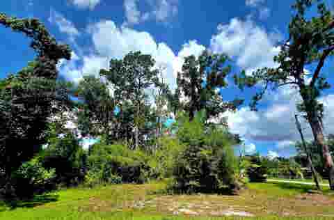 Tiny photo for Lot 1 N Washington Street, Perry, FL 32347 (MLS # 401657)