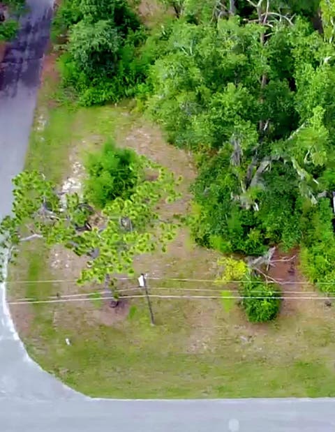 Tiny photo for Lot 1 N Washington Street, Perry, FL 32347 (MLS # 401657)
