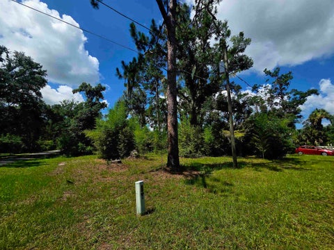 Tiny photo for Lot 1 N Washington Street, Perry, FL 32347 (MLS # 401657)