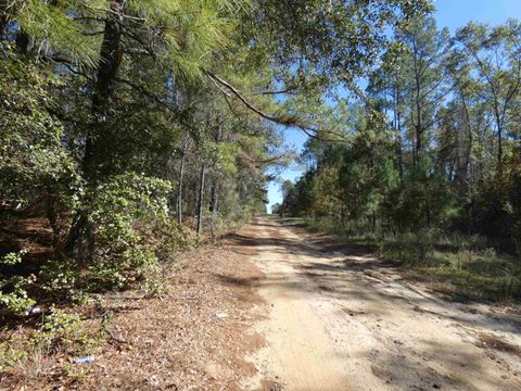 TBD E Meadow Road Monticello FL 32344