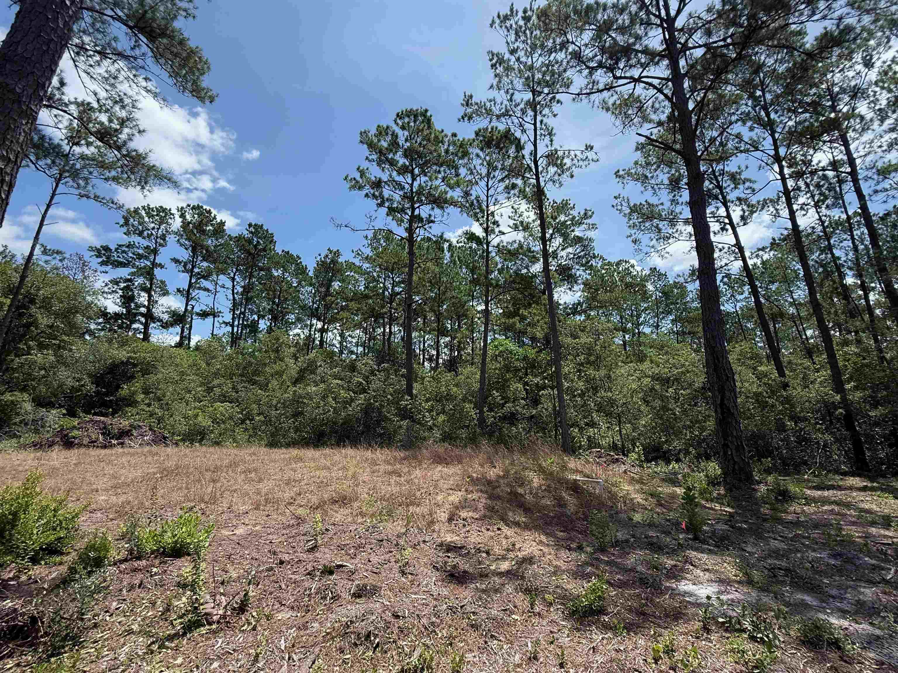 489 Ashville Highlands Drive