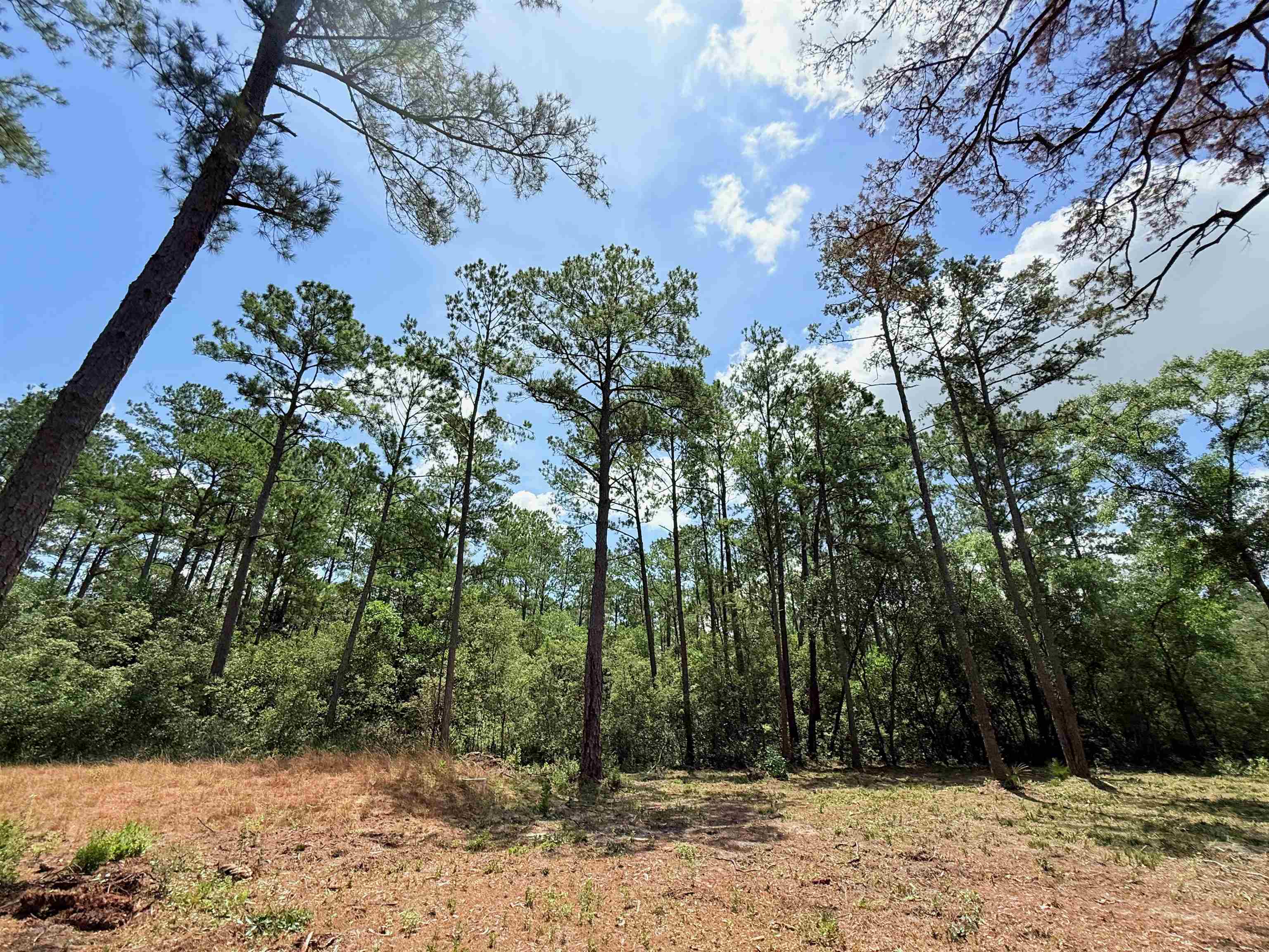 489 Ashville Highlands Drive