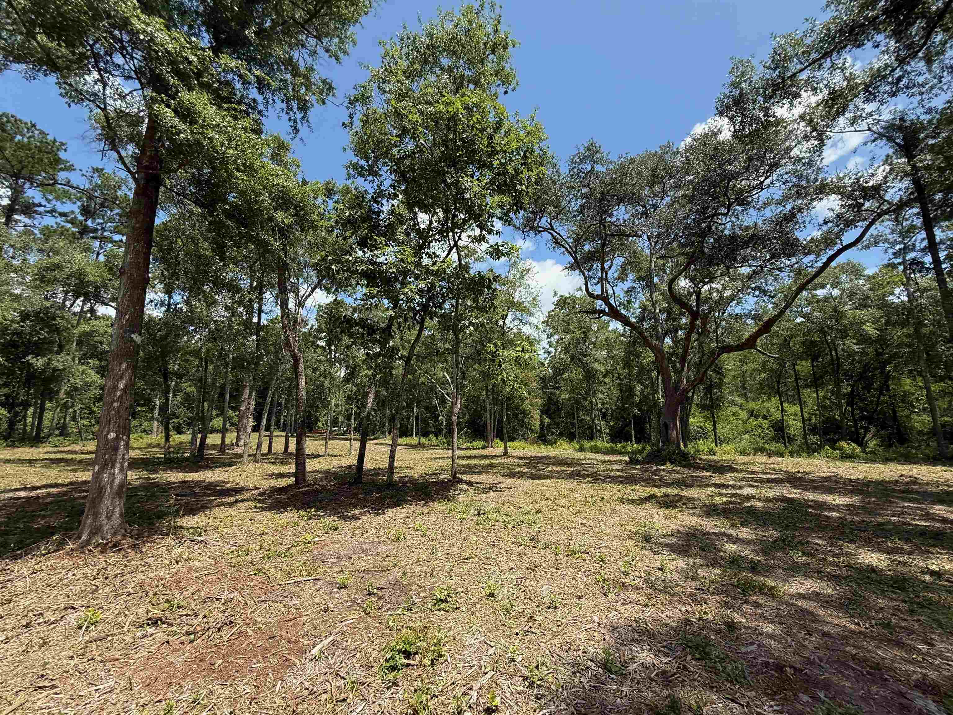 489 Ashville Highlands Drive