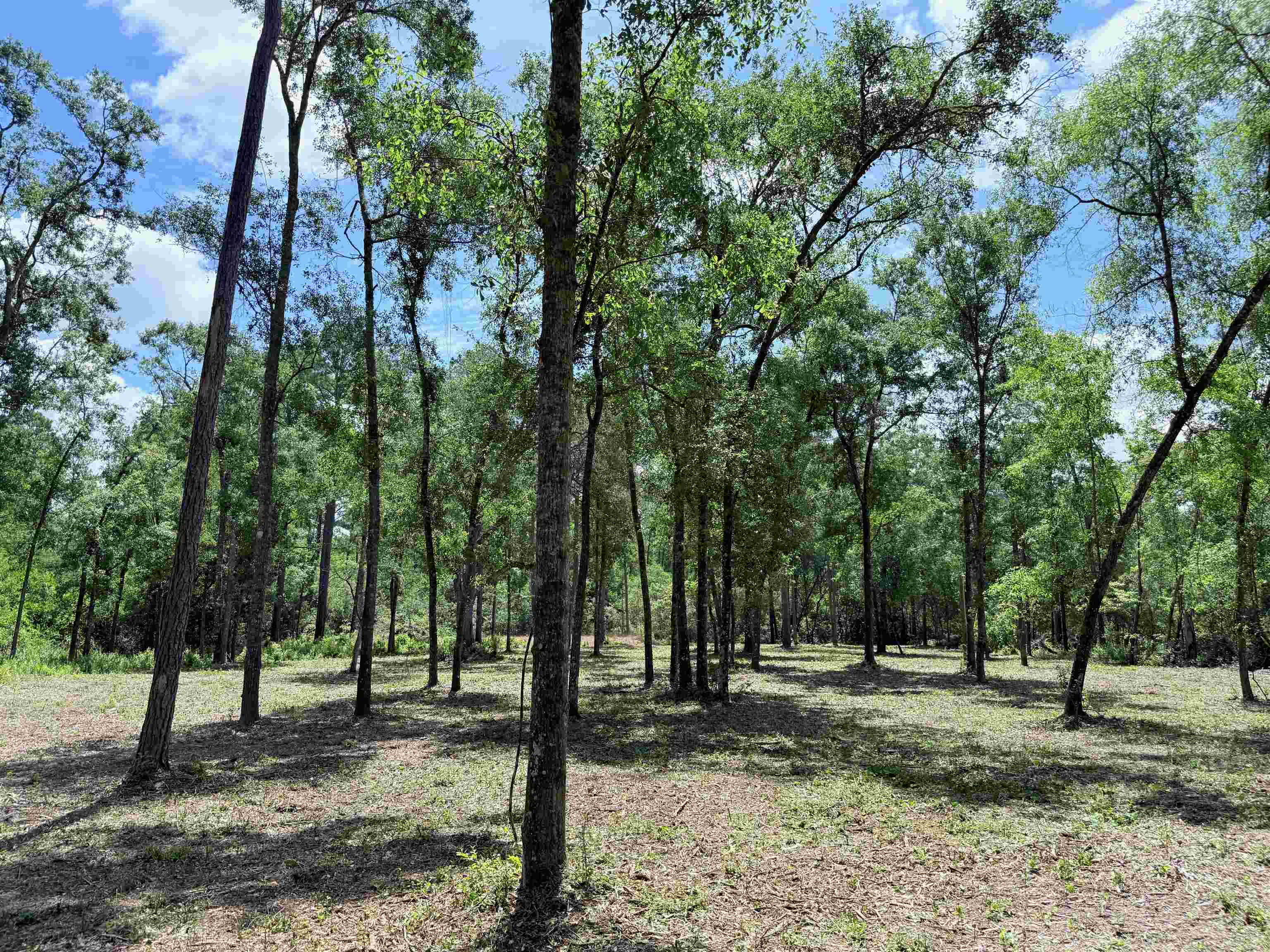 489 Ashville Highlands Drive