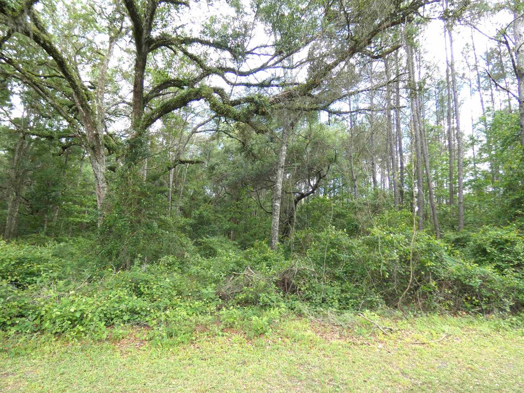 Photo of TBD E Cavallo Trail, Monticello, FL 32344 (MLS # 399902)