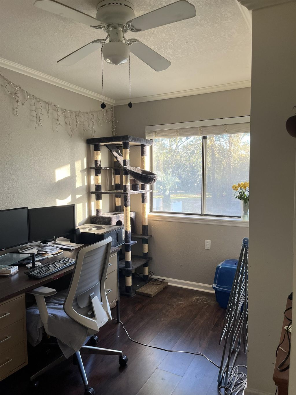 Photo of 317 Mabry Street #1122, Tallahassee, FL 32304 (MLS # 396354)