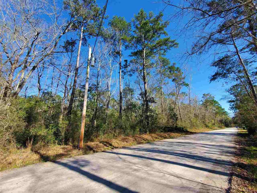 Photo of 0 Choctaw Road, Crawfordville, FL 32327 (MLS # 393947)