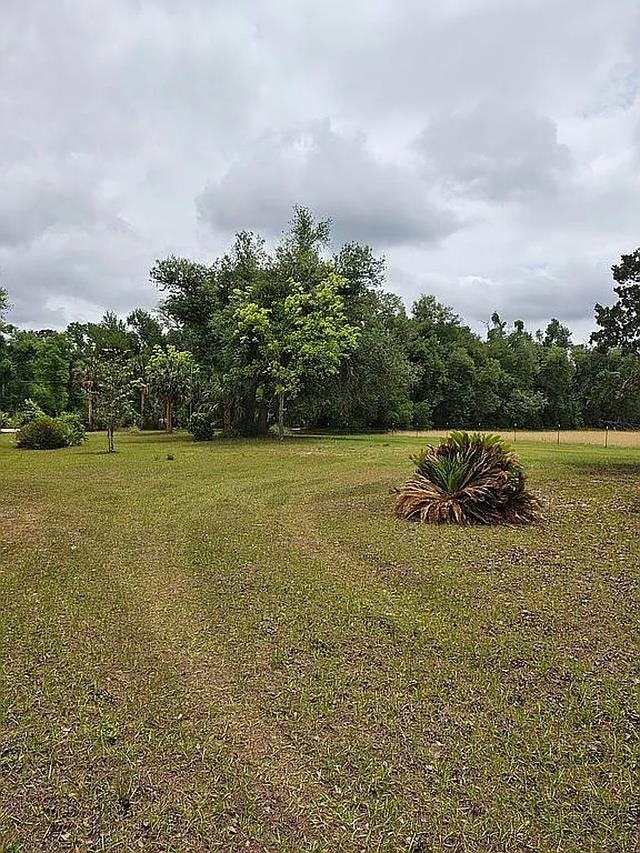 Photo of 3475 Cash Road, Perry, FL 32348 (MLS # 401953)