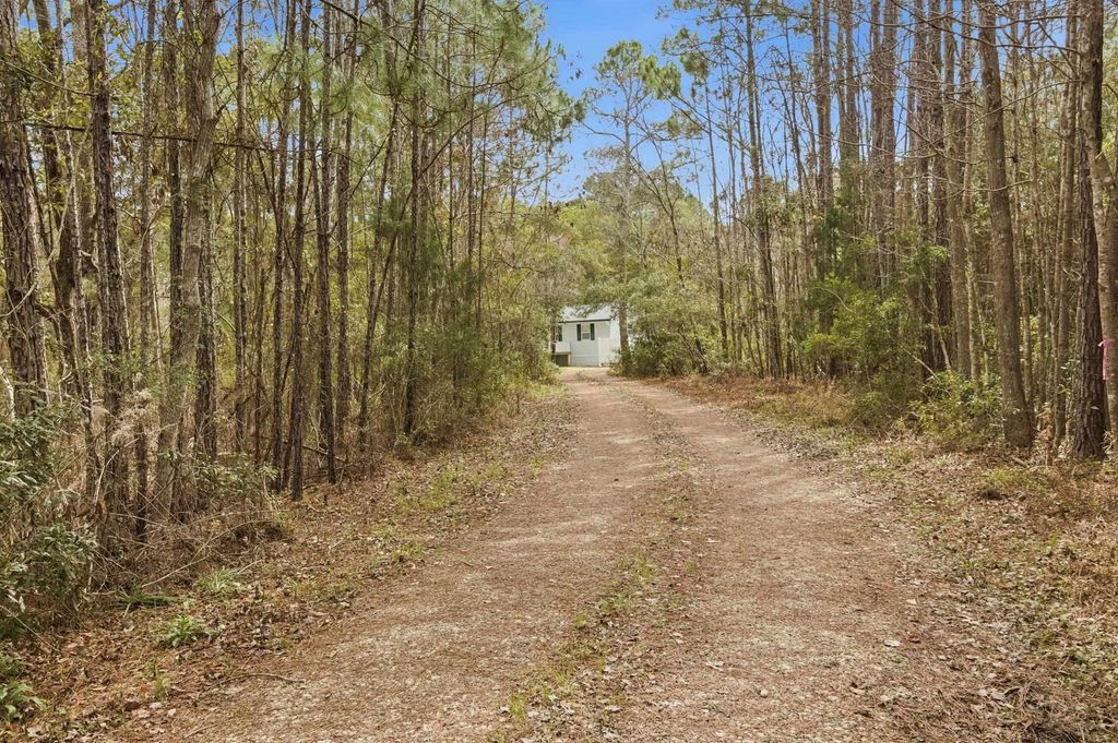 Photo of 137 Dickson Bay Road, Panacea, FL 32346 (MLS # 396384)