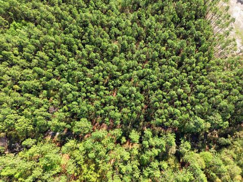 Tiny photo for 0 Jubilee Trail, Tallahassee, FL 32305 (MLS # 398169)