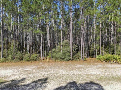 Tiny photo for 0 Jubilee Trail, Tallahassee, FL 32305 (MLS # 398169)