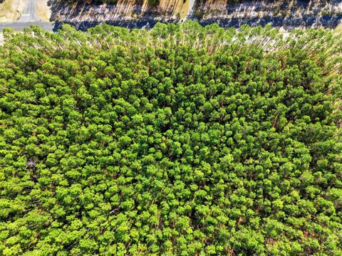 Tiny photo for 0 Jubilee Trail, Tallahassee, FL 32305 (MLS # 398169)