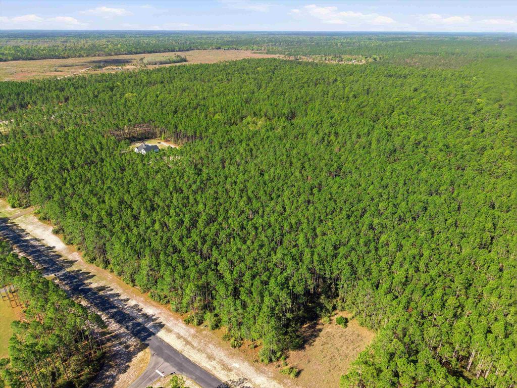 Photo of 0 Jubilee Trail, Tallahassee, FL 32305 (MLS # 398169)