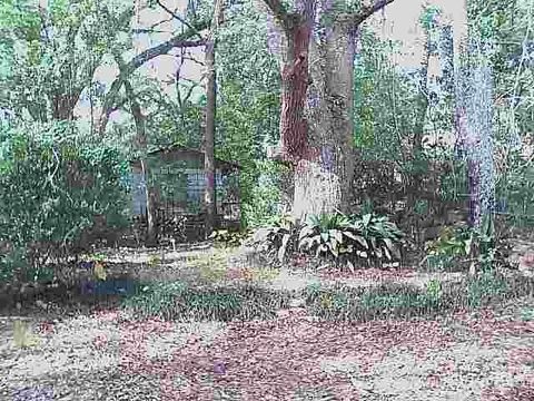 Tiny photo for 1514 MAJESTIC Avenue, Tallahassee, FL 32304 (MLS # 399150)