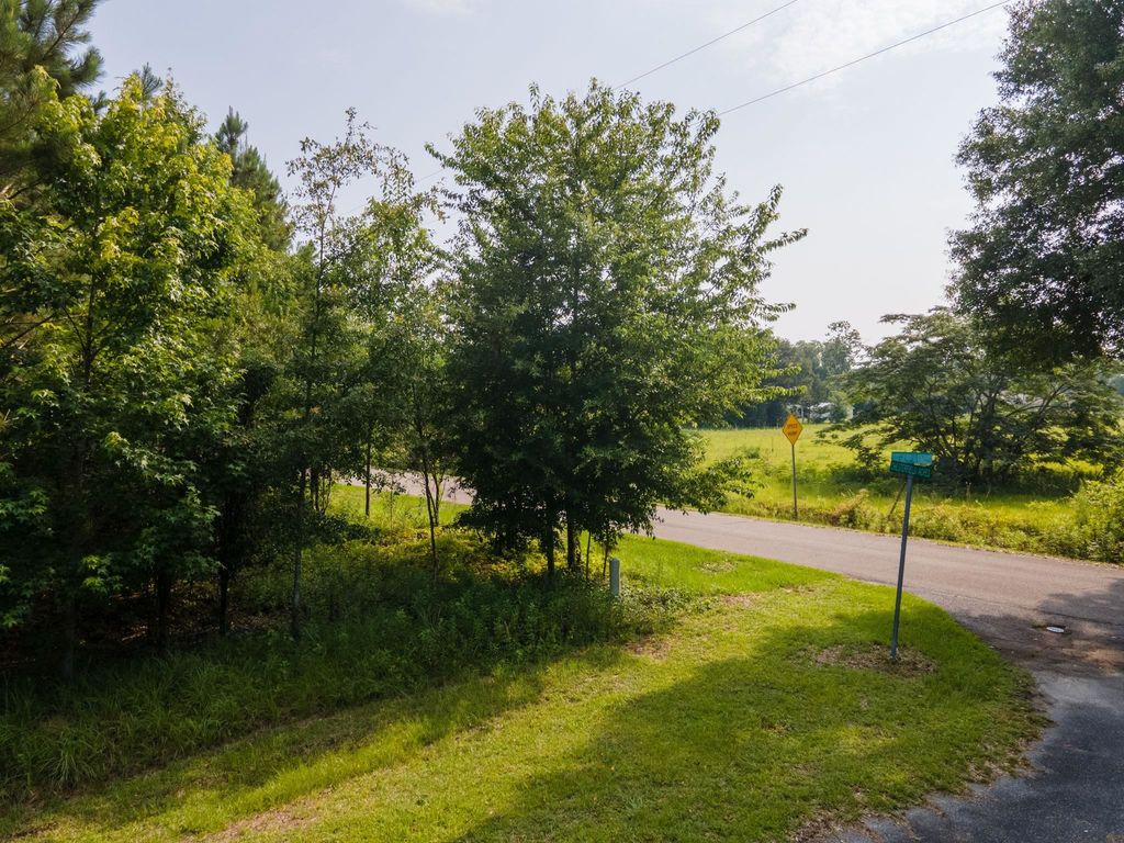 Photo of 14 Chesterfield Road, Quincy, FL 32351 (MLS # 395083)