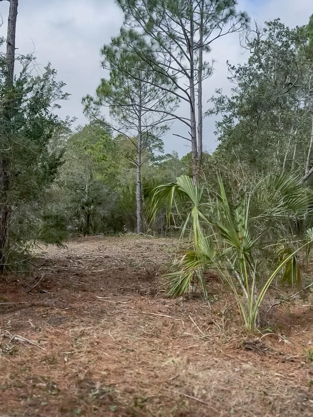 Lot 3 Chattahoochee Street