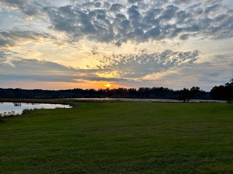 Tiny photo for 1786 NE County Road 150, Madison, FL 32340 (MLS # 397091)