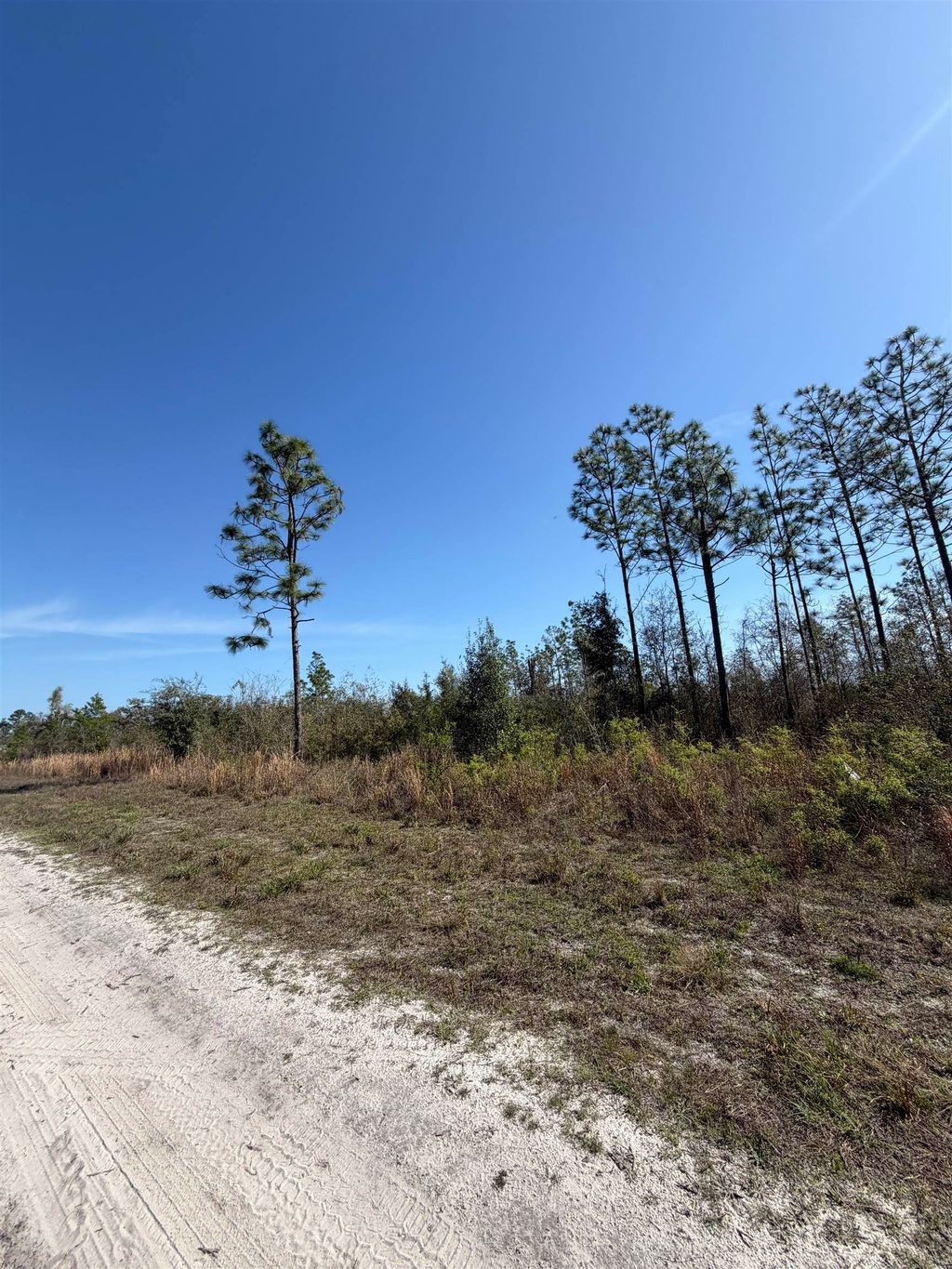Photo of SE COLONIAL Way, Lee, FL 32059 (MLS # 397242)
