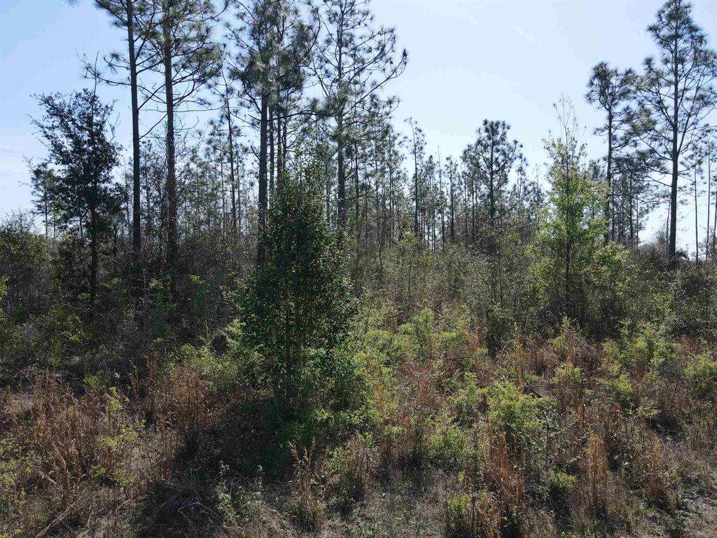 Photo of SE COLONIAL Way, Lee, FL 32059 (MLS # 397242)