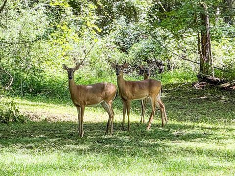 Tiny photo for 9737 Faraway Farm Road, Tallahassee, FL 32317 (MLS # 402924)