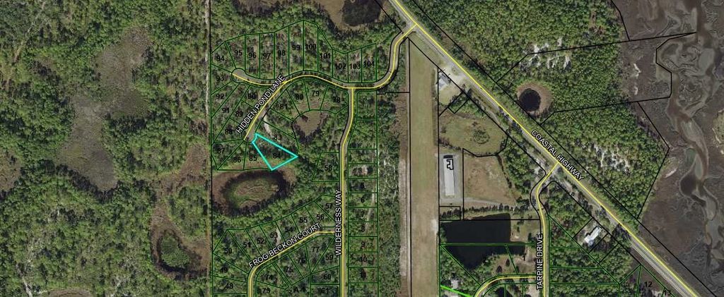 Photo of Lot84 Hidden Pond Lane, Panacea, FL 32346 (MLS # 400370)