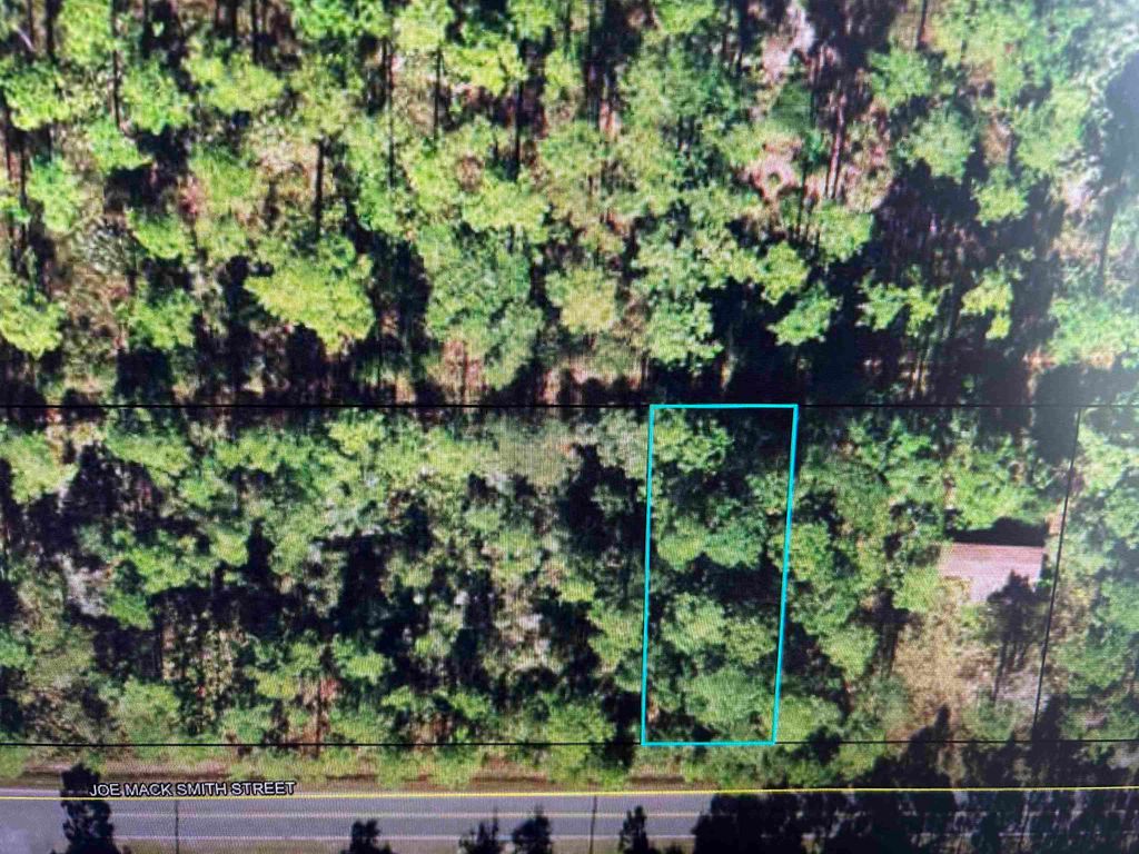 Photo of xx JOE MACK SMITH Street #1, Panacea, FL 32346 (MLS # 397452)