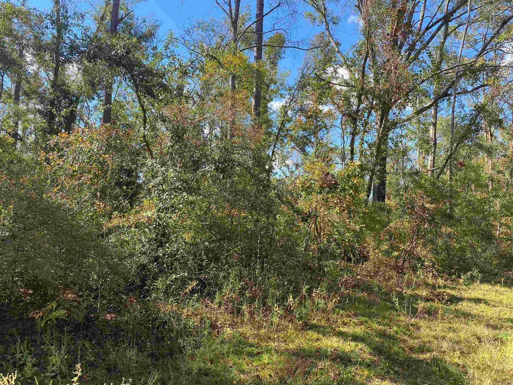 Photo of Vacant NE Blue Springs Church Road, Lee, FL 32059 (MLS # 392414)