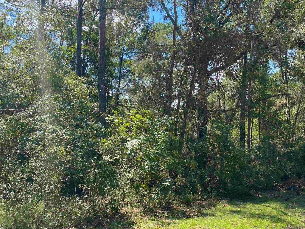 Photo of Vacant NE Blue Springs Church Road, Lee, FL 32059 (MLS # 392414)