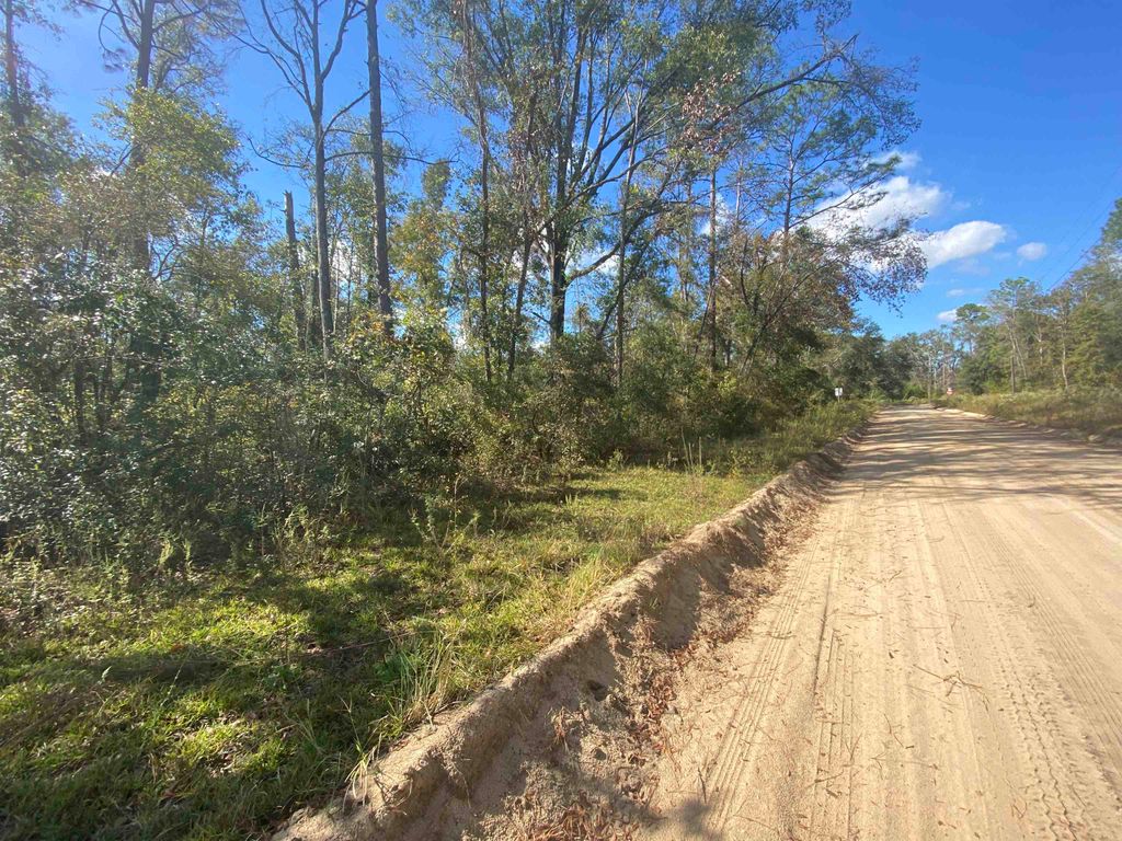 Photo of Vacant NE Blue Springs Church Road, Lee, FL 32059 (MLS # 392414)