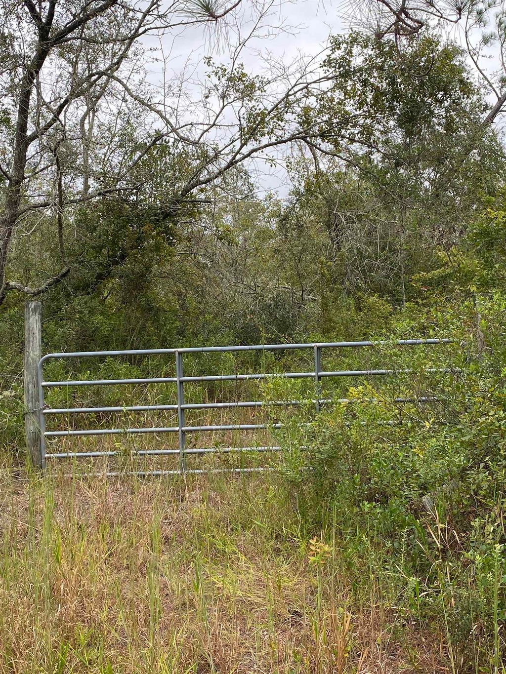 Photo of Lot 81 SW Kramer Road, Madison, FL 32340 (MLS # 391670)
