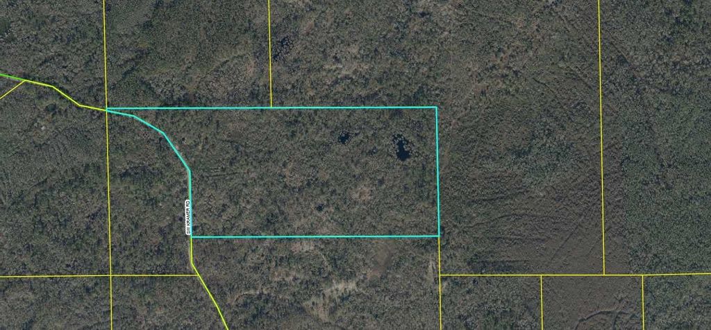 Photo of Lot 81 SW Kramer Road, Madison, FL 32340 (MLS # 391670)