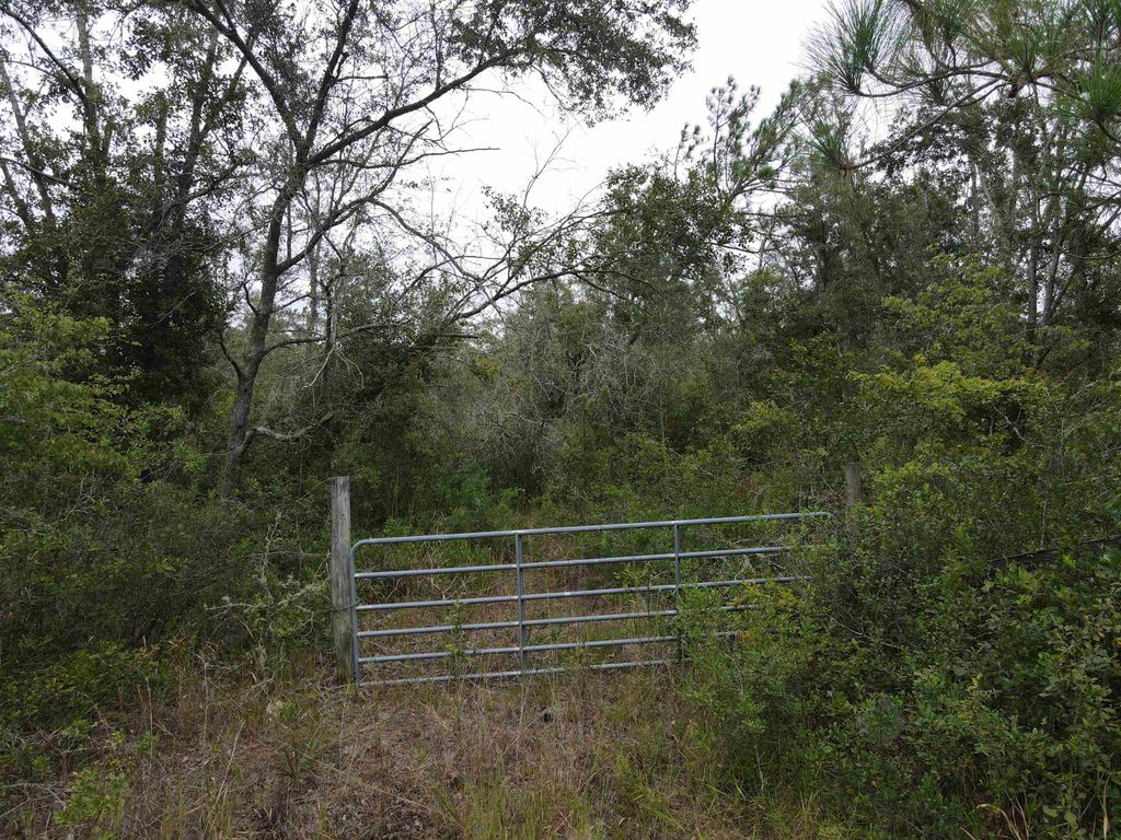 Photo of Lot 81 SW Kramer Road, Madison, FL 32340 (MLS # 391670)