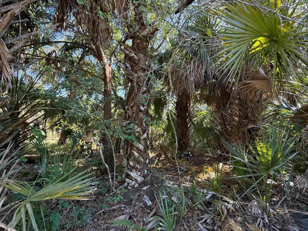 Photo of Lot 20 Blue Dolphin Drive, Crawfordville, FL 32327 (MLS # 398807)