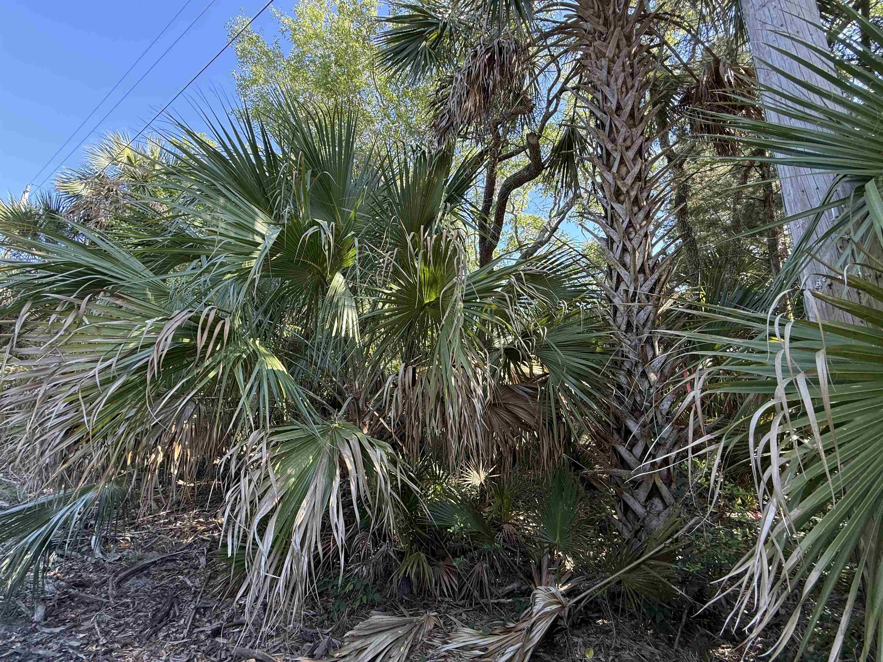 Lot 20 Blue Dolphin Drive