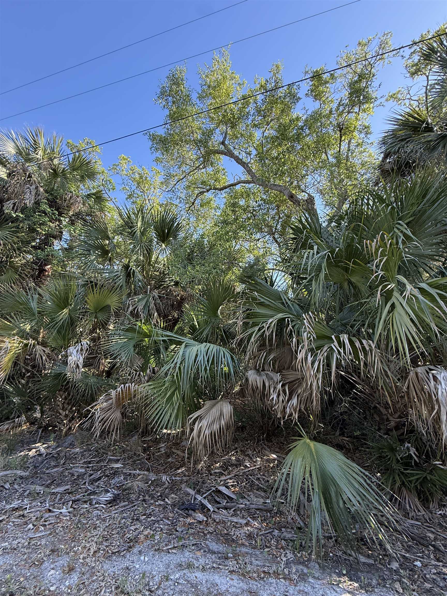 Lot 20 Blue Dolphin Drive