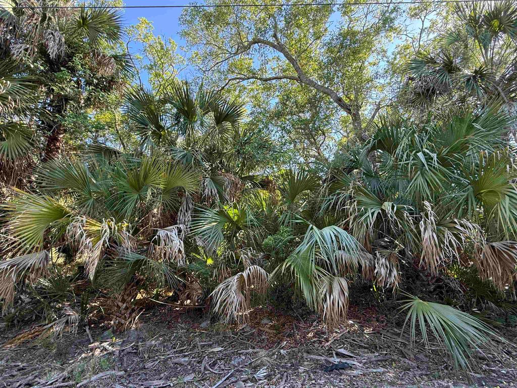 Photo of Lot 20 Blue Dolphin Drive, Crawfordville, FL 32327 (MLS # 398807)