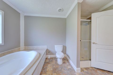 Tiny photo for 1177 Egg and Butter Road, Other Georgia, GA 31773 (MLS # 402008)