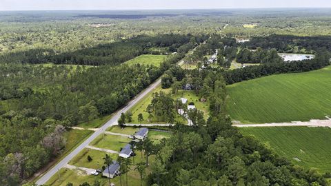 Tiny photo for 1177 Egg and Butter Road, Other Georgia, GA 31773 (MLS # 402008)