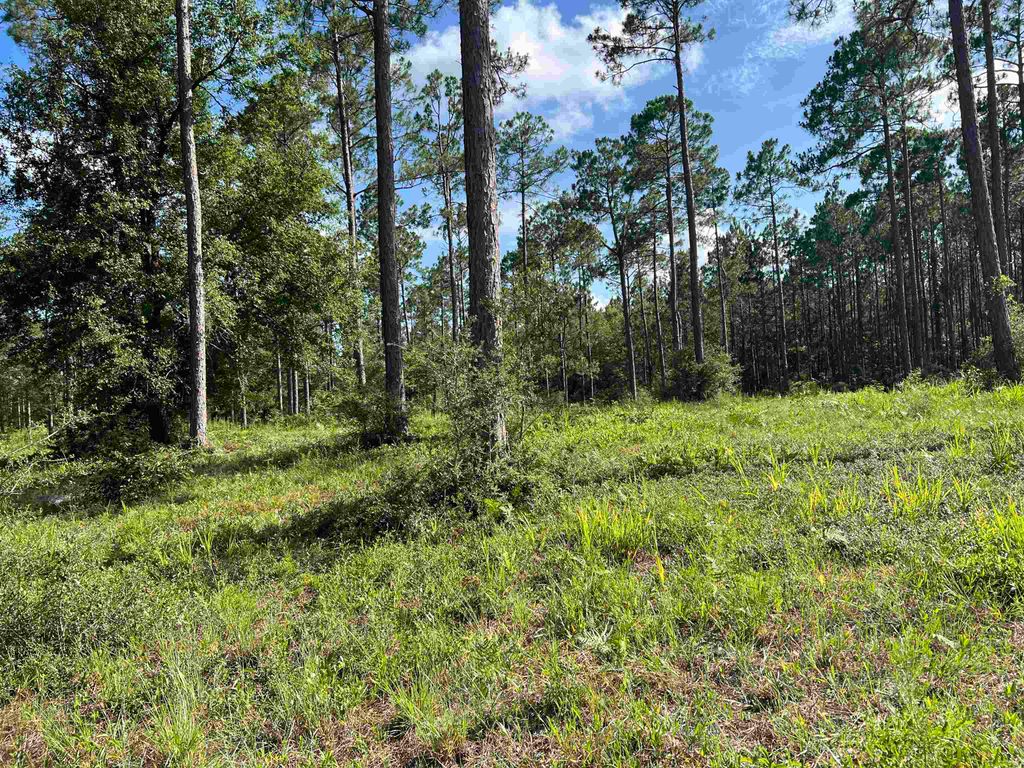 Photo of Lot I 20 Hidden Horse Way, Tallahassee, FL 32305 (MLS # 387568)