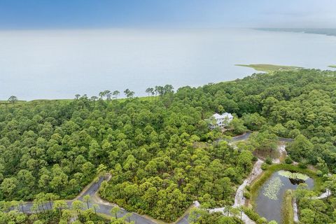 158 OAK DUNE Lane St Teresa FL 32358