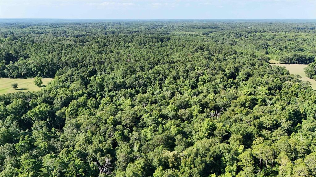 Photo of 576 Cox Road, Monticello, FL 32344 (MLS # 391743)